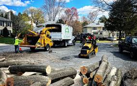 Best Lot and Land Clearing  in Fennimore, WI