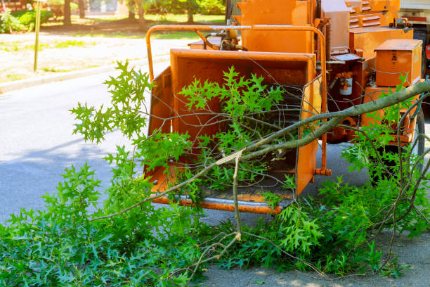 Best Weed Control  in Fennimore, WI