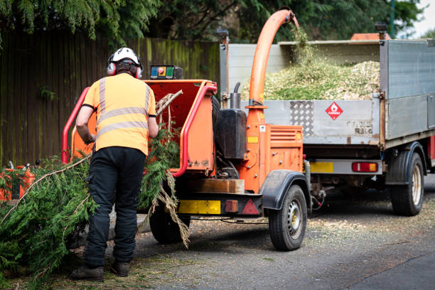 Best Organic Lawn Care Solutions  in Fennimore, WI
