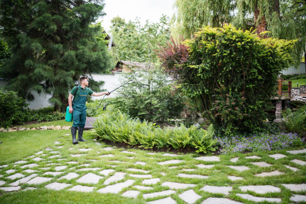 Best Lawn Watering Services  in Fennimore, WI
