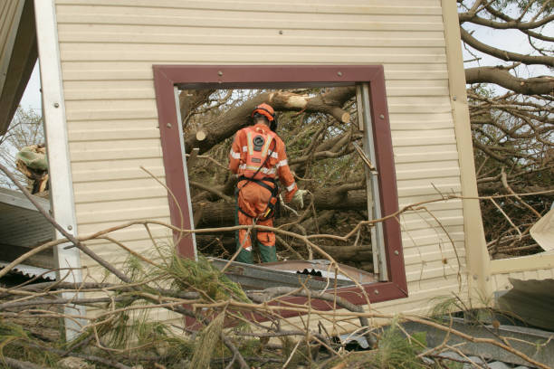 Best Storm Damage Tree Cleanup  in Fennimore, WI